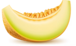 Melon